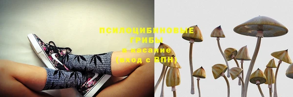 mdpv Нязепетровск