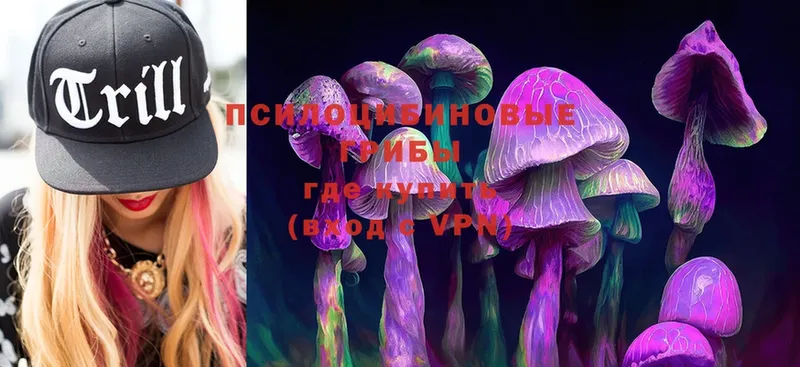 Псилоцибиновые грибы MAGIC MUSHROOMS  сколько стоит  Каневская 