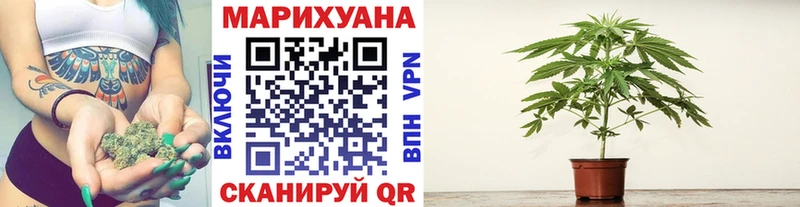 Каннабис конопля купить цена Каневская